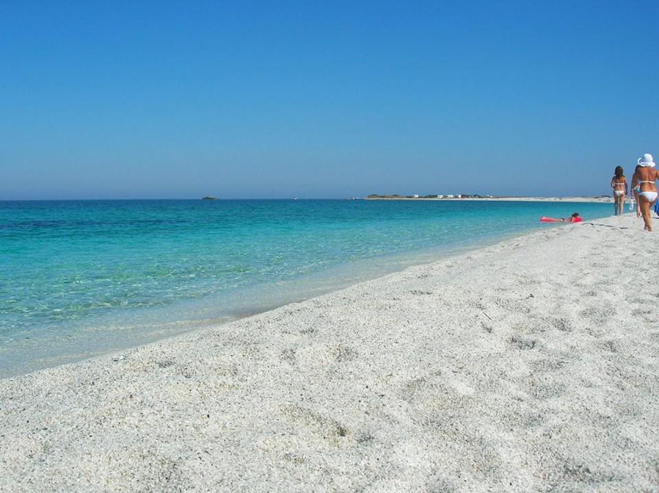 Bed and Breakfast Sardinia Eco Vegan House Zeddiani Экстерьер фото