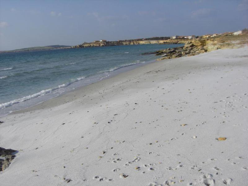 Bed and Breakfast Sardinia Eco Vegan House Zeddiani Экстерьер фото