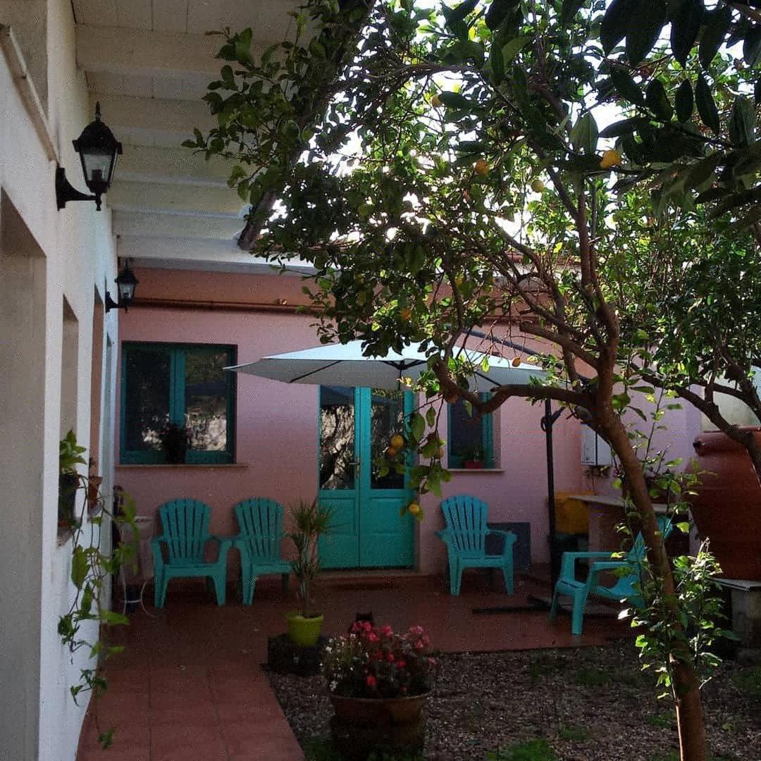 Bed and Breakfast Sardinia Eco Vegan House Zeddiani Экстерьер фото