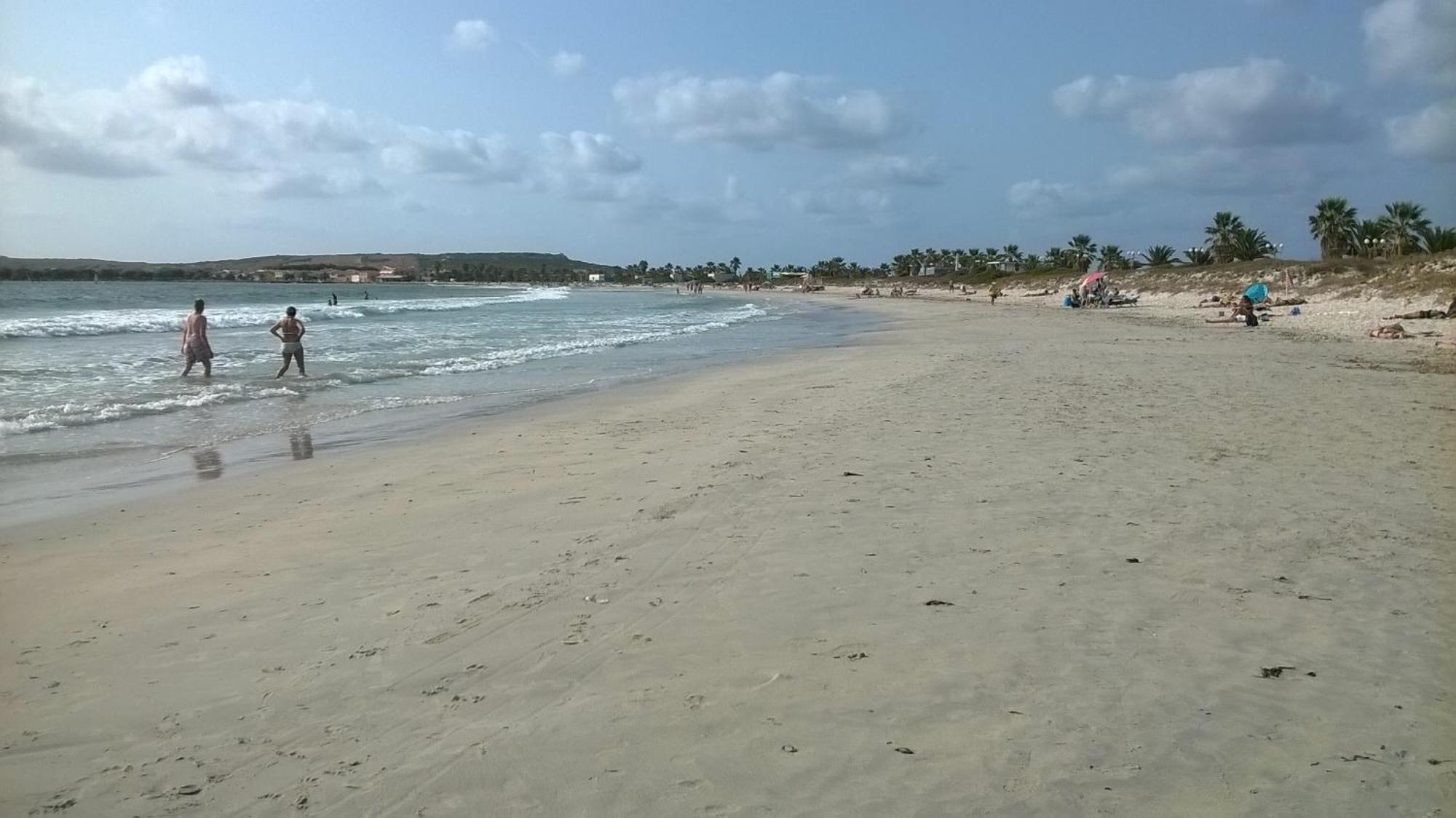 Bed and Breakfast Sardinia Eco Vegan House Zeddiani Экстерьер фото
