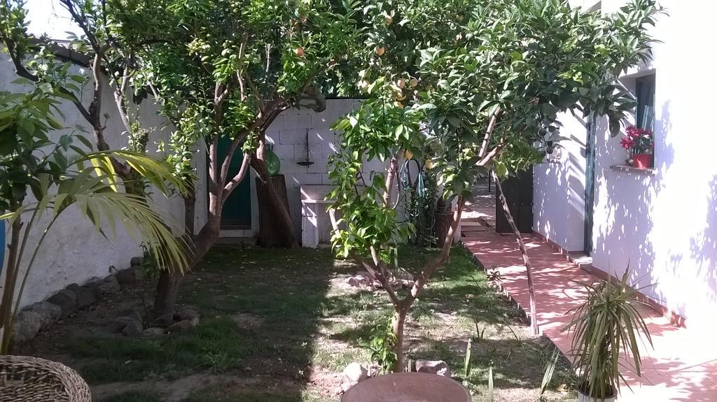 Bed and Breakfast Sardinia Eco Vegan House Zeddiani Экстерьер фото